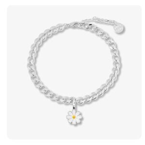 Pura Vida Harper Curb Chain Bracelet silver new